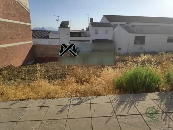 Spot image