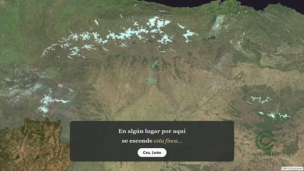 Spot image
