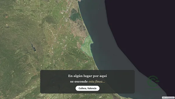 Spot image