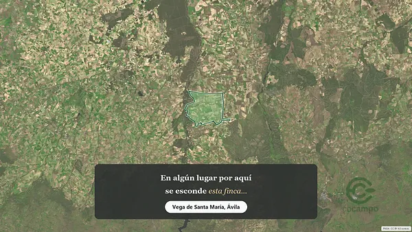 Spot image