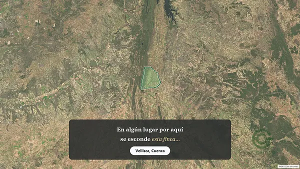 Spot image