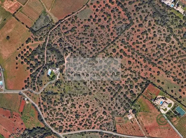 Spot image