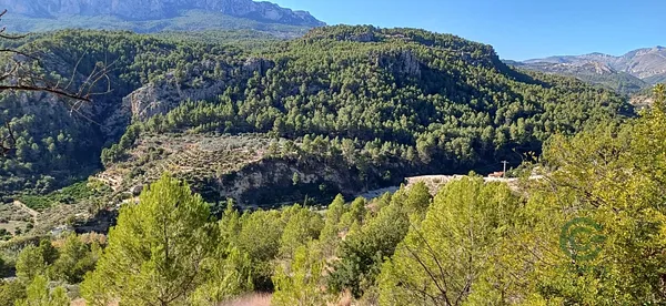 Spot image