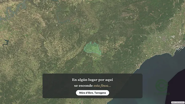 Spot image