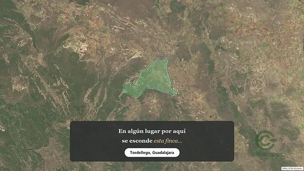 Spot image