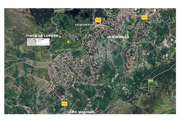 Spot image