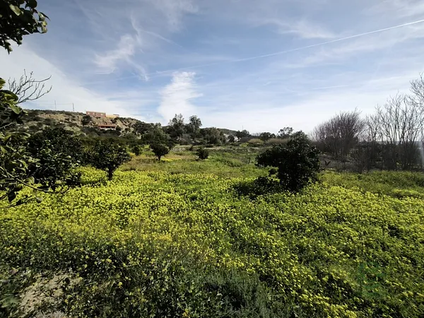 Spot image
