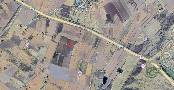 Spot image