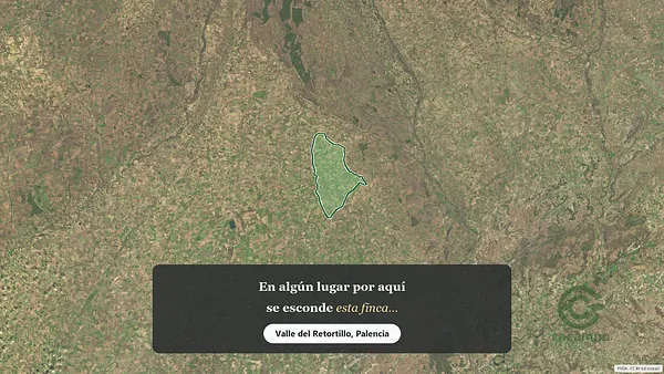 Spot image