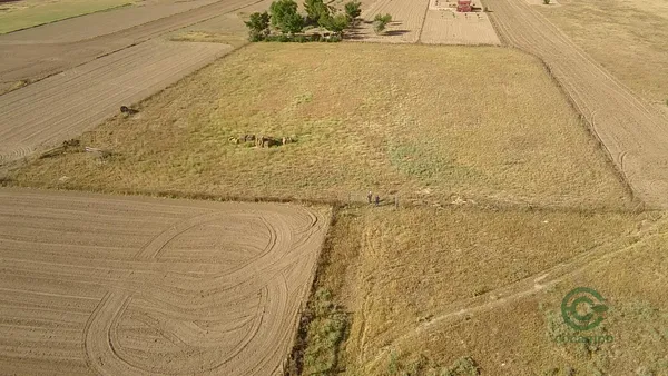 Finca rústica de 0,9294 ha en venta en Lillo, Toledo