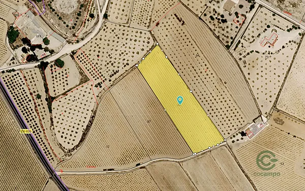 Spot image