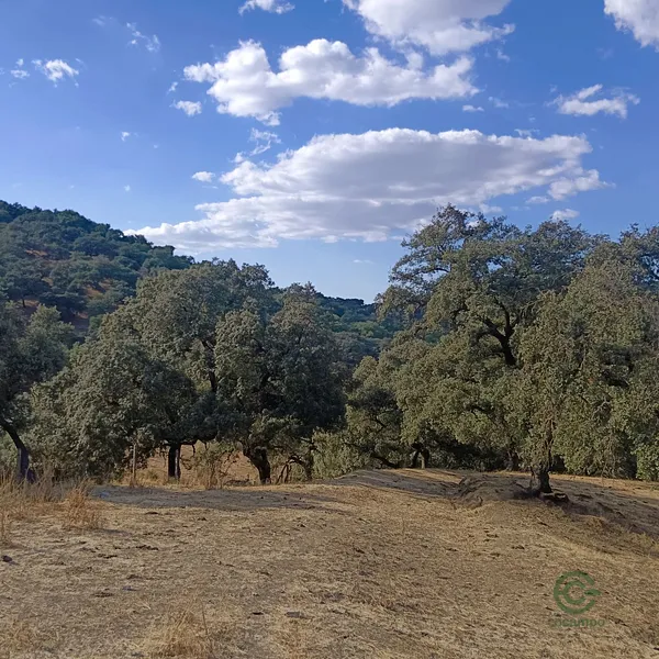 Finca rústica de 50 ha en venta en Cortegana, Huelva