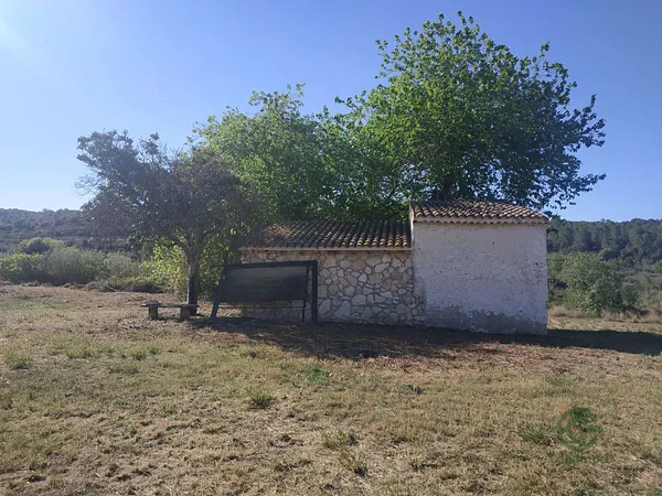 Spot image