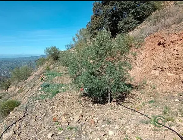 Finca rústica de 0,588 ha en venta en Málaga