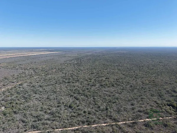 Finca rústica de 13927 ha en venta en Salta