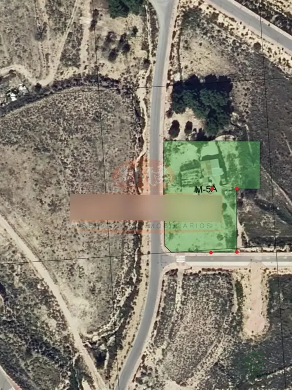 Spot image