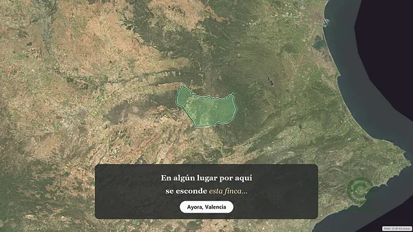 Spot image
