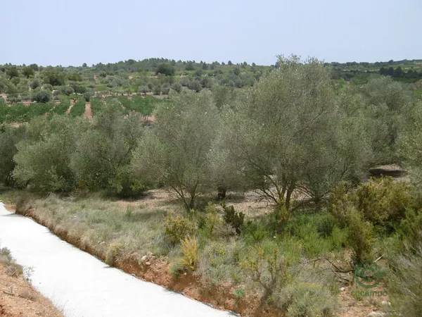 Spot image