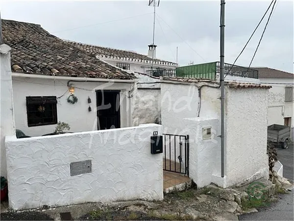 Spot image