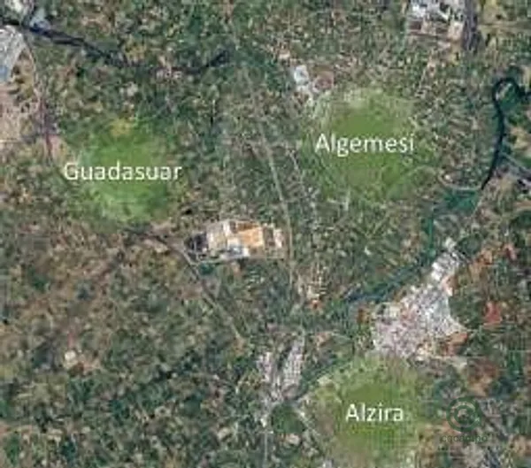 Spot image