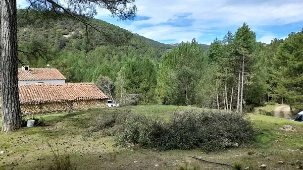 Spot image