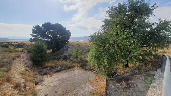 Spot image