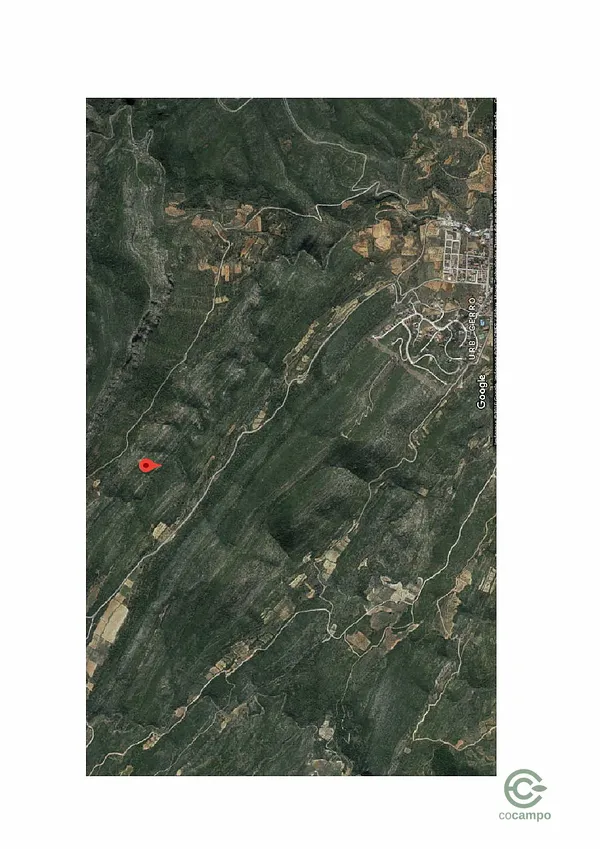 Spot image