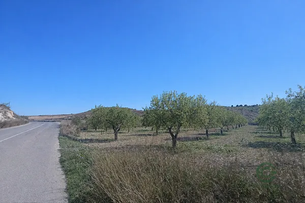 Spot image
