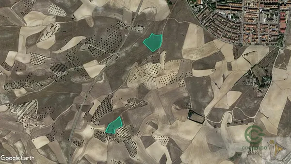 Spot image