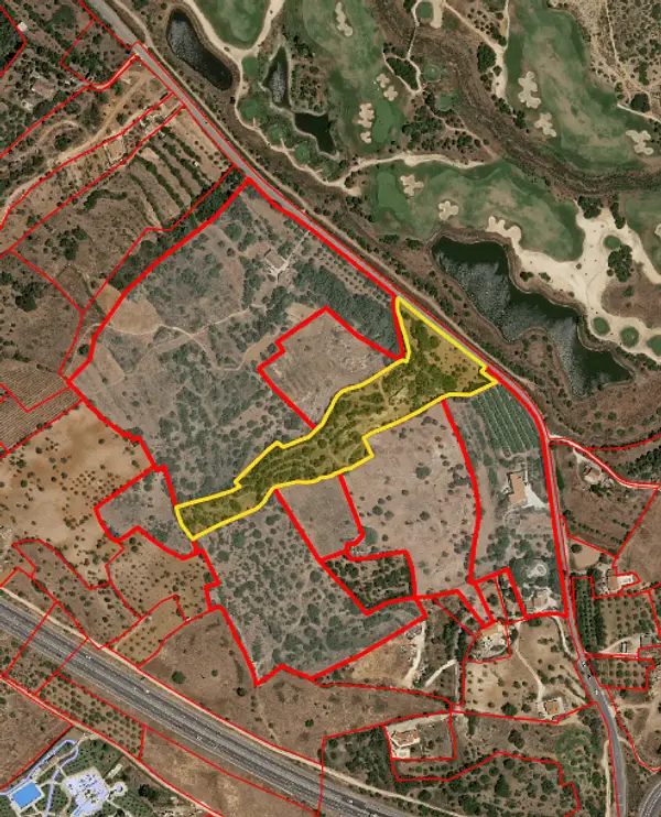Spot image