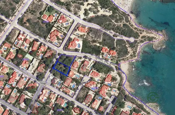 Spot image