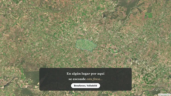 Spot image