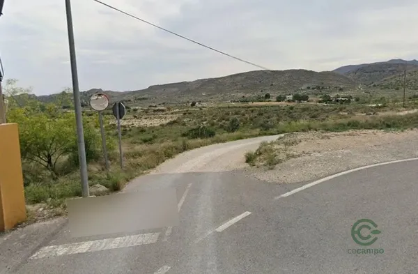 Spot image