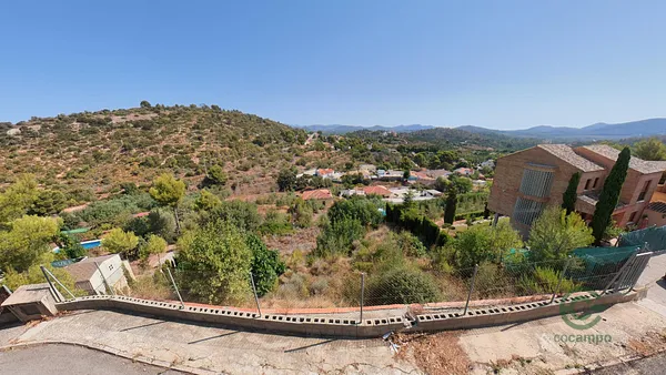 Spot image