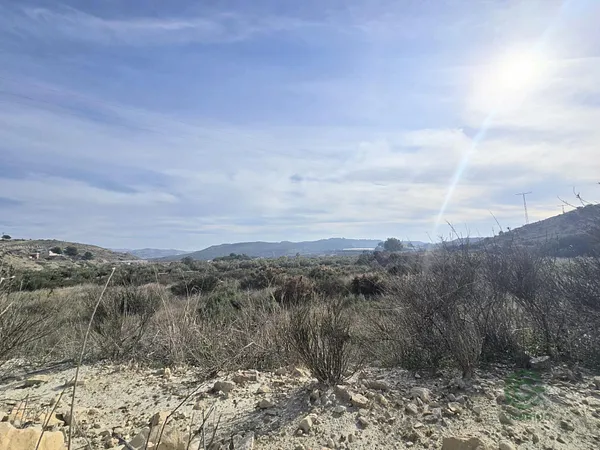 Spot image