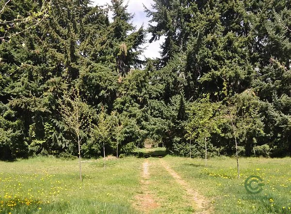 Finca rústica de 0,1 ha en venta en Río negro province