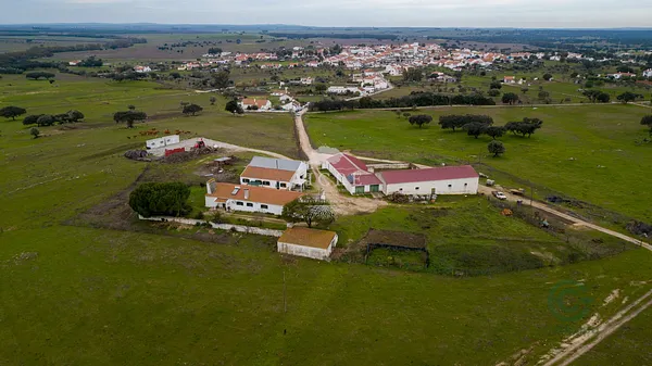 Spot image