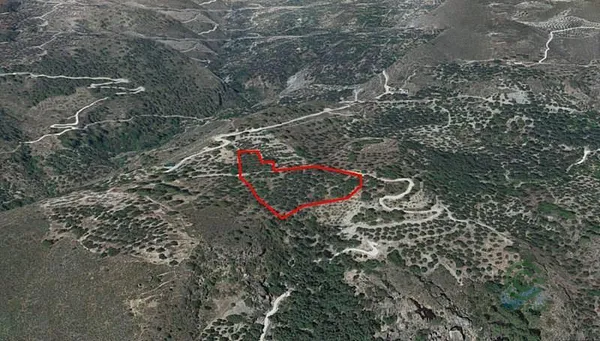Spot image