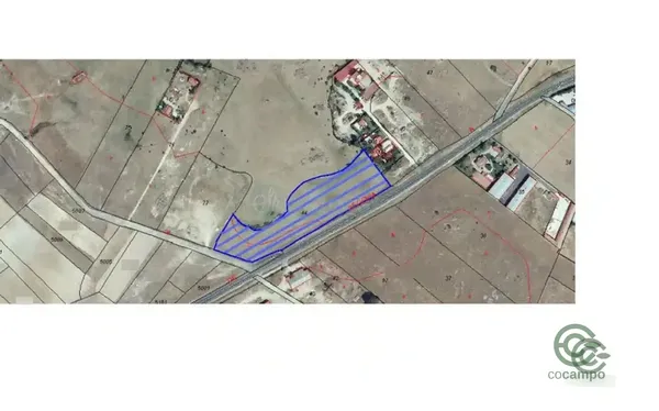 Spot image