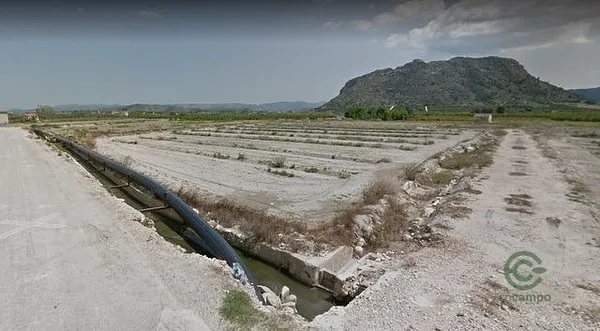 Spot image