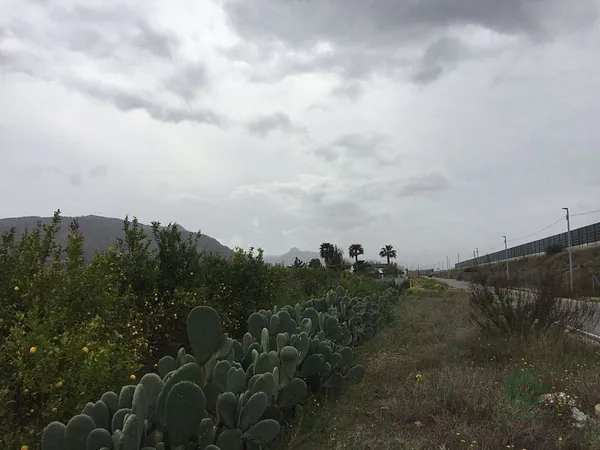 Finca agrícola de 1 ha en venta en Alquerias, Murcia