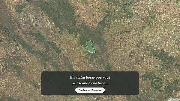 Spot image