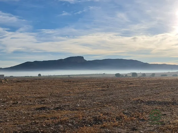 Finca rústica de 4 ha en venta en Monovar, Alicante