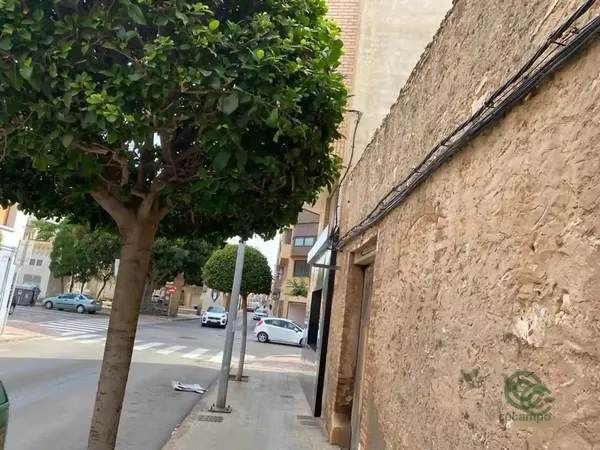 Spot image