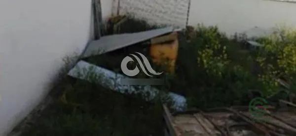 Spot image