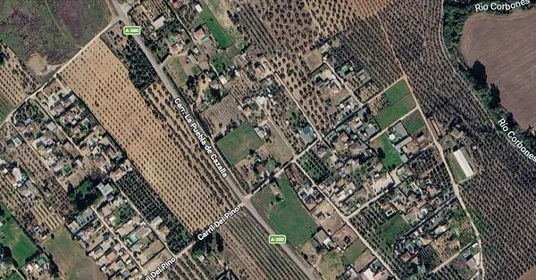 Spot image