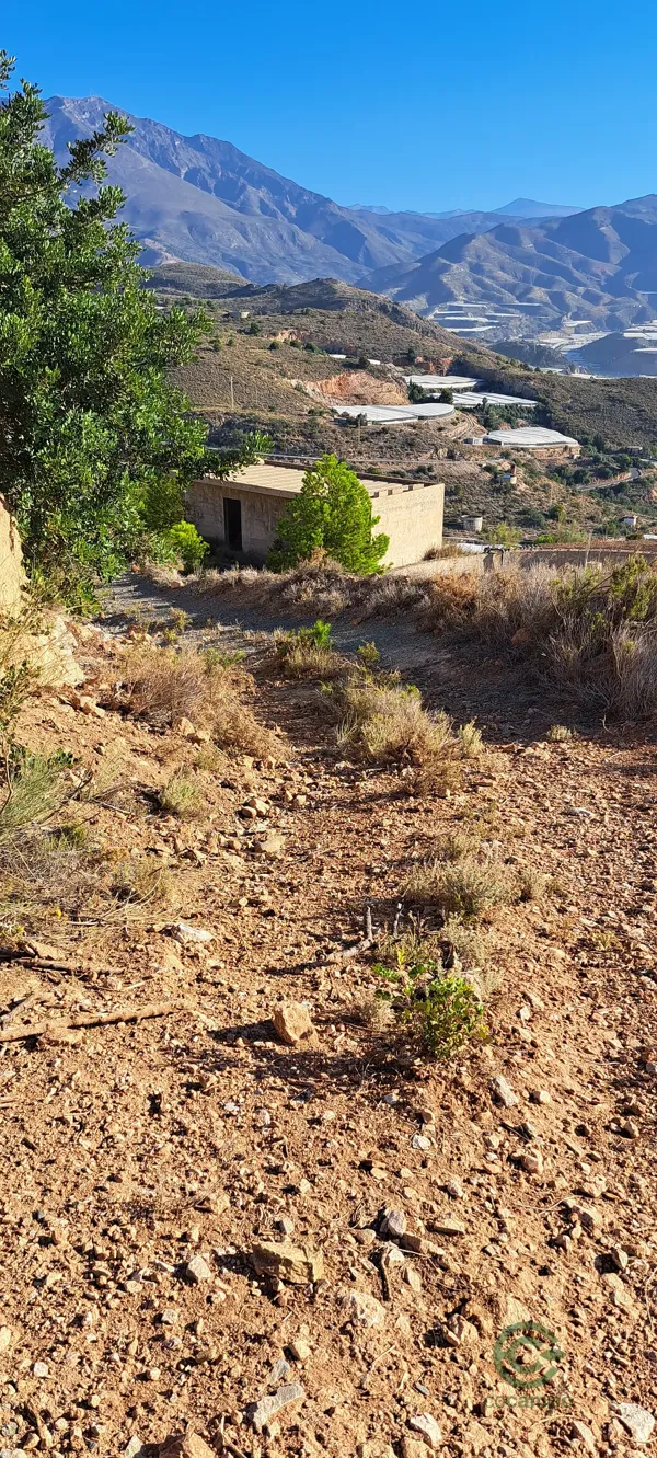 Spot image