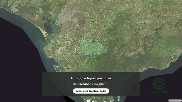 Spot image