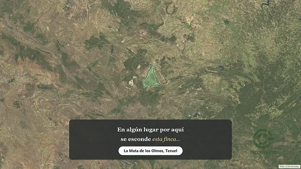 Spot image