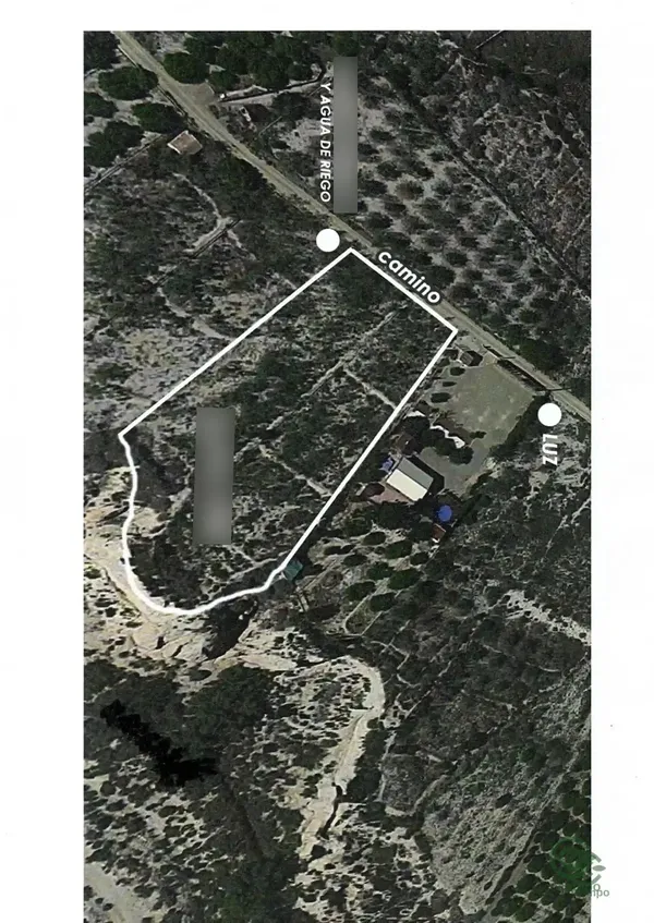 Spot image